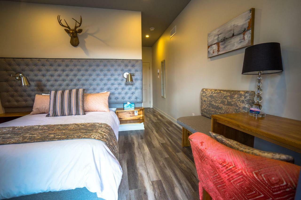 Le Bellevue Modern Lodge Wakefield Ngoại thất bức ảnh